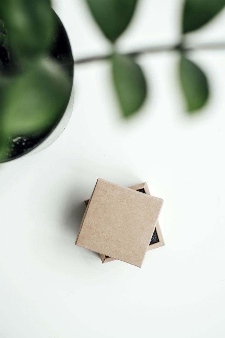 A minimalist cardboard box on a white background with green leaves, ideal for nature-themed projects.